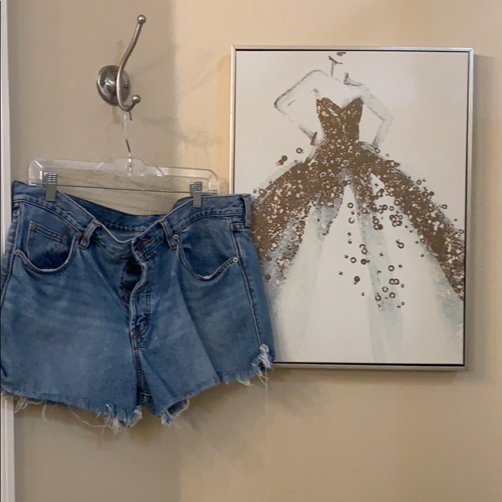 Urban Outfitters BDG Button Fly Cutoffs